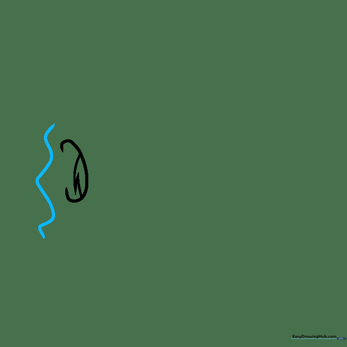 Drawing the brow ridge and nasal cavity using a continuous wavy line.