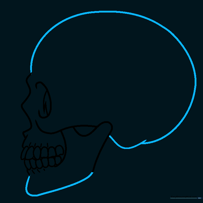 Completing the skull outline by connecting the cranium and jaw.