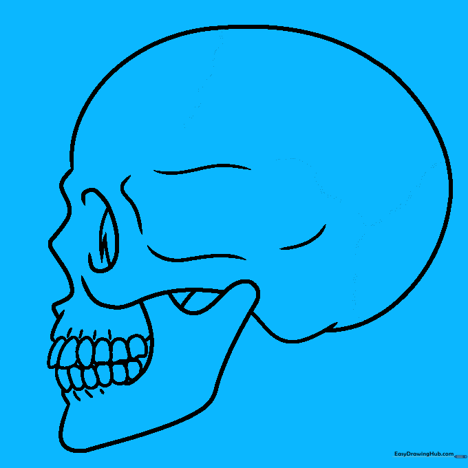 Adding texture to the skull with wavy, crack-like lines across the cranium.