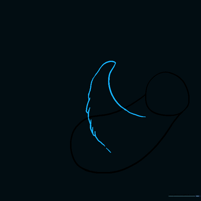 Drawing the sloth's arm with fuzzy texture lines.