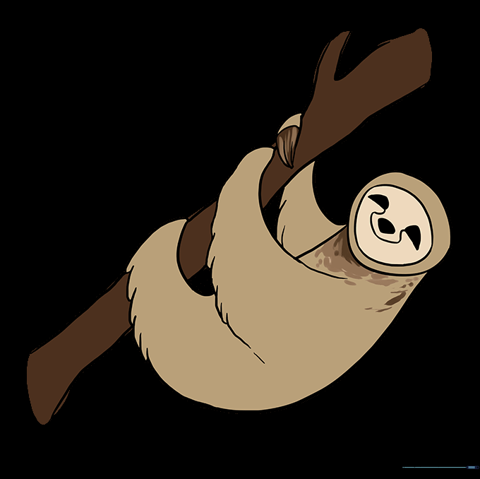 A fully colored sloth hanging from a branch.