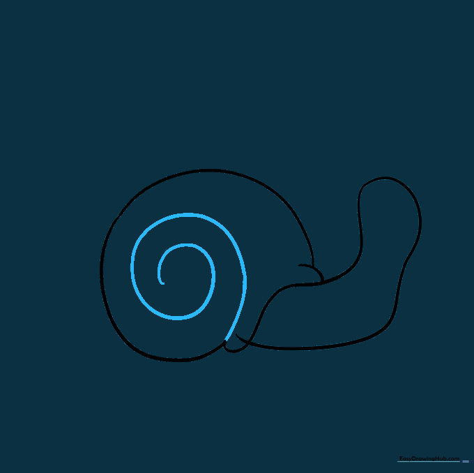 A snail shell with a clear spiral pattern drawn inside.