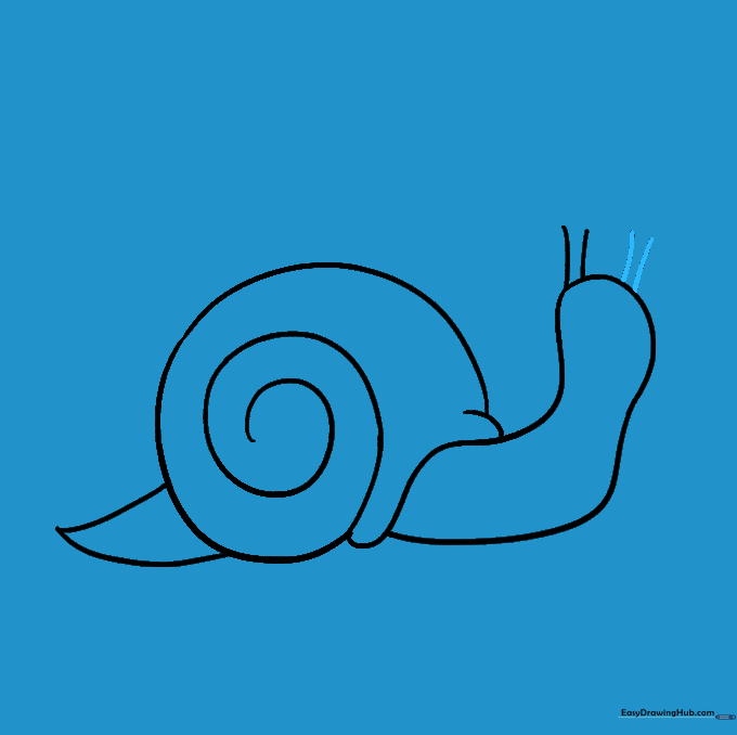 Two eye stalks now visible on the snail's head.