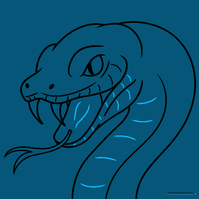 Finalizing the drawing by adding contour lines and cleaning up guide marks.