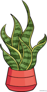 Colorful, completed illustration of a potted snake plant.