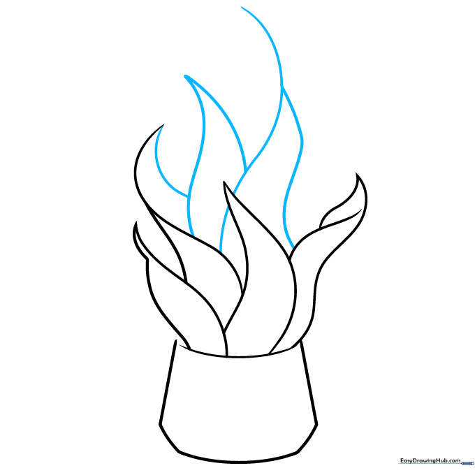 Drawing more leaves to fill out the plant's volume.