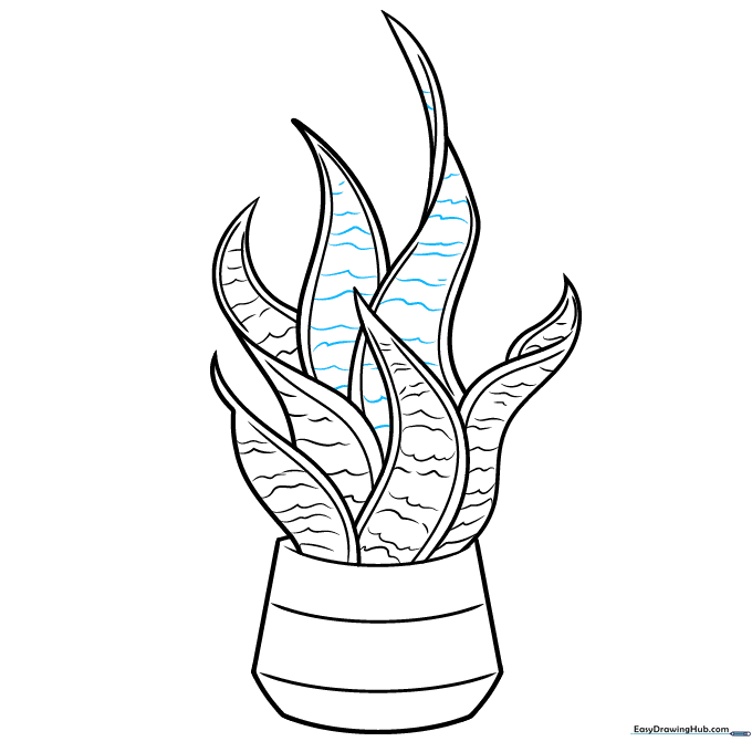 Final line art of the snake plant with pencil marks erased.