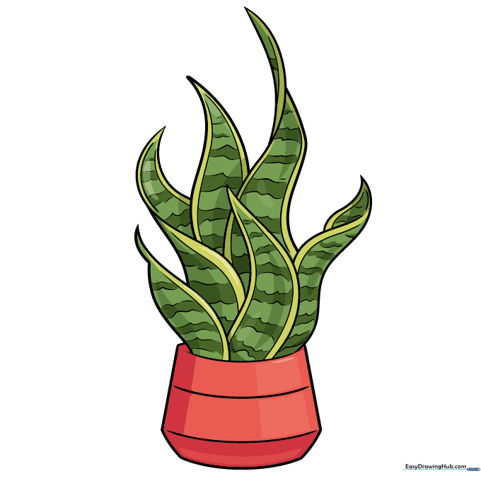 Finished, colored drawing of a snake plant in a pink pot.