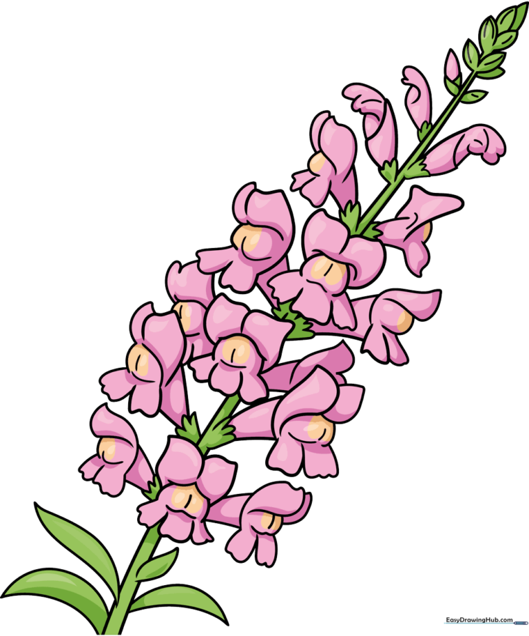 Colorful, completed illustration of a vibrant snapdragon flower, serving as the guide's featured image.