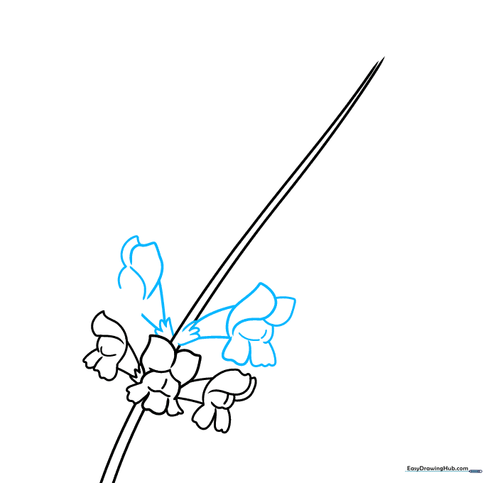 Step-by-step progress showing two more flowers added to the stem with erased overlapping lines.