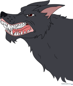 A completed, colored illustration of a snarling wolf, showcasing expressive facial features.
