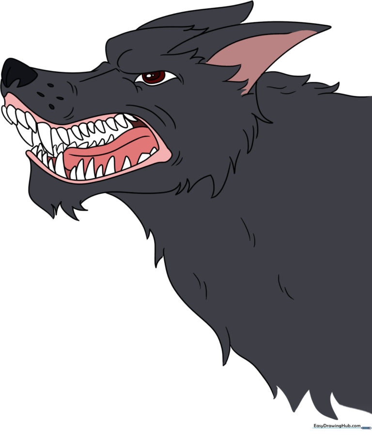 A completed, colored illustration of a snarling wolf, showcasing expressive facial features.