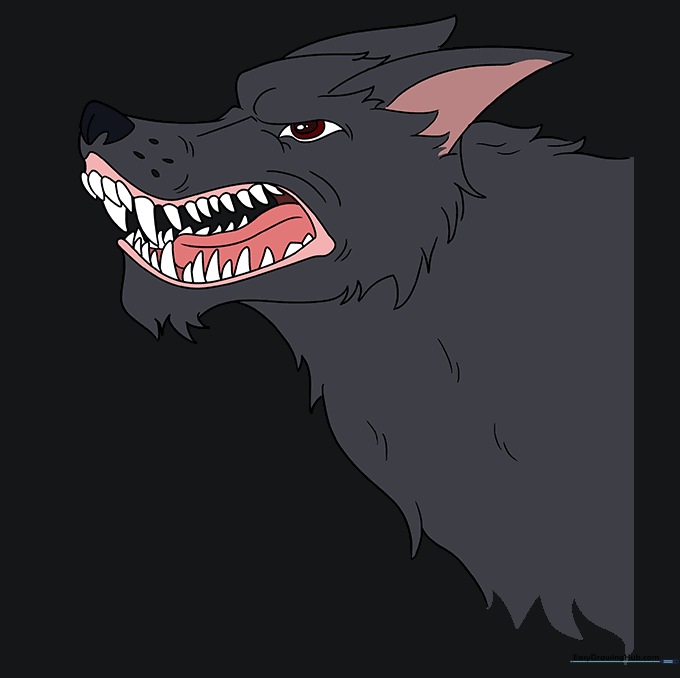 The final colored drawing of a snarling wolf with grey fur and pink tongue.