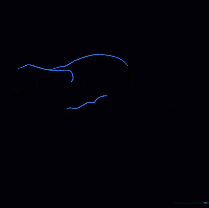 Connecting the body shapes with smooth lines and erasing internal guides.