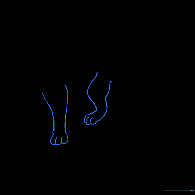 Outlining the legs and adding toe details to the paws.