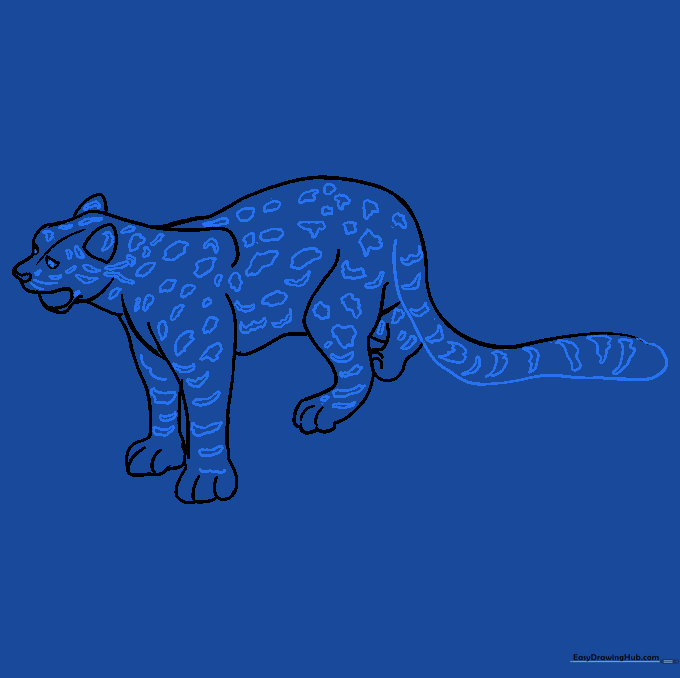 Adding characteristic spots and leg stripes to the snow leopard drawing.