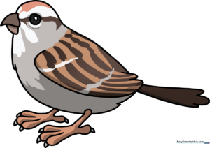 A complete, colored sparrow drawing perched on a branch, serving as the final goal for the tutorial.