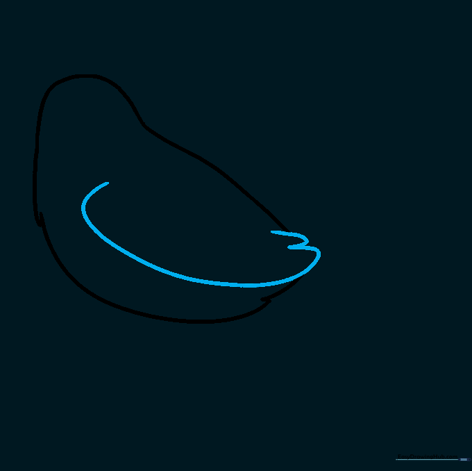 Detailed sketch of a sparrow wing showing curved lines and U-shaped feather patterns.