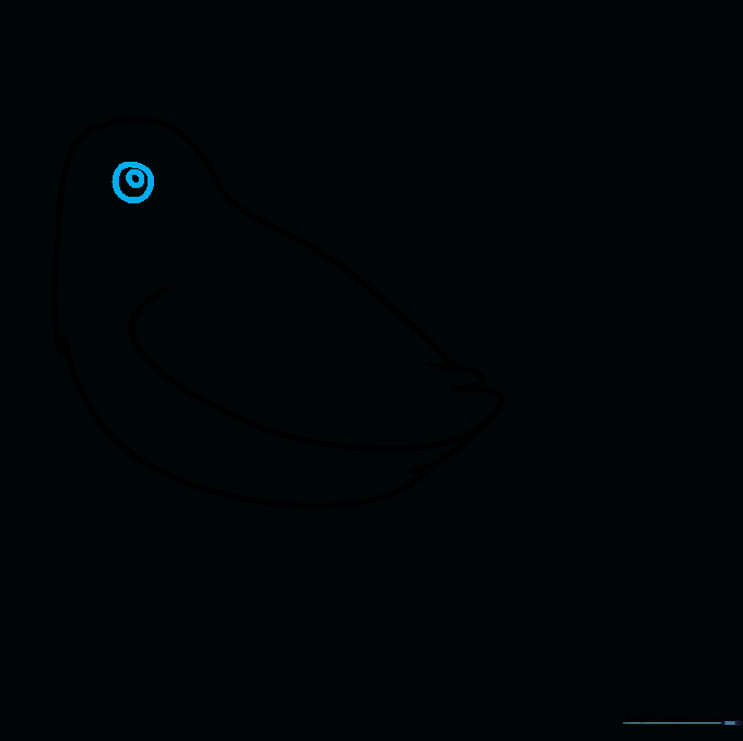 Close-up sketch of a sparrow's eye with a circular pupil and highlight.