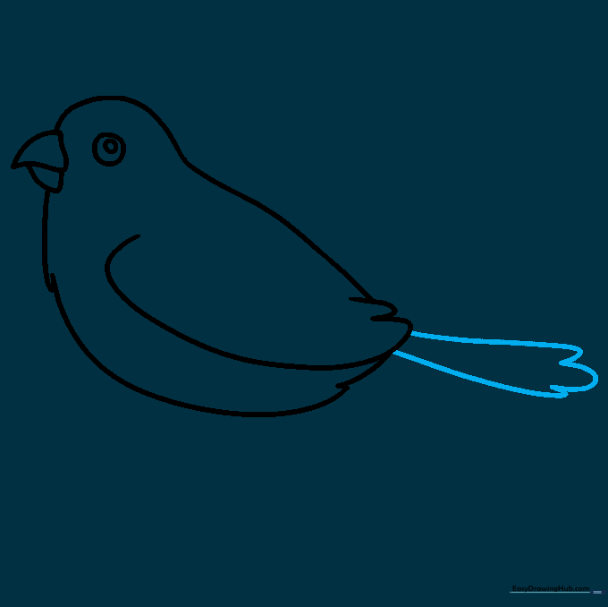 Adding the sparrow's tail feathers using curved lines and U-shaped edges.