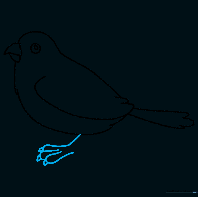 Sketching the sparrow's leg and toes with sharp triangular claws.