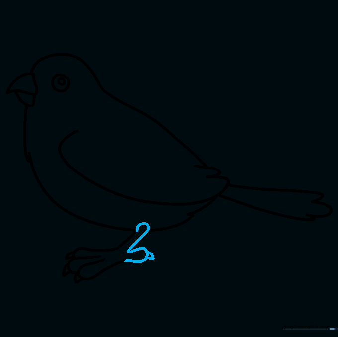 Drawing the rear-facing toe for the sparrow's foot.