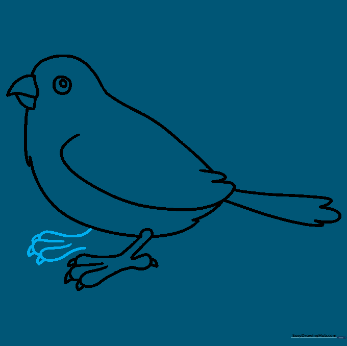 Adding the second leg to the sparrow drawing to show perspective.