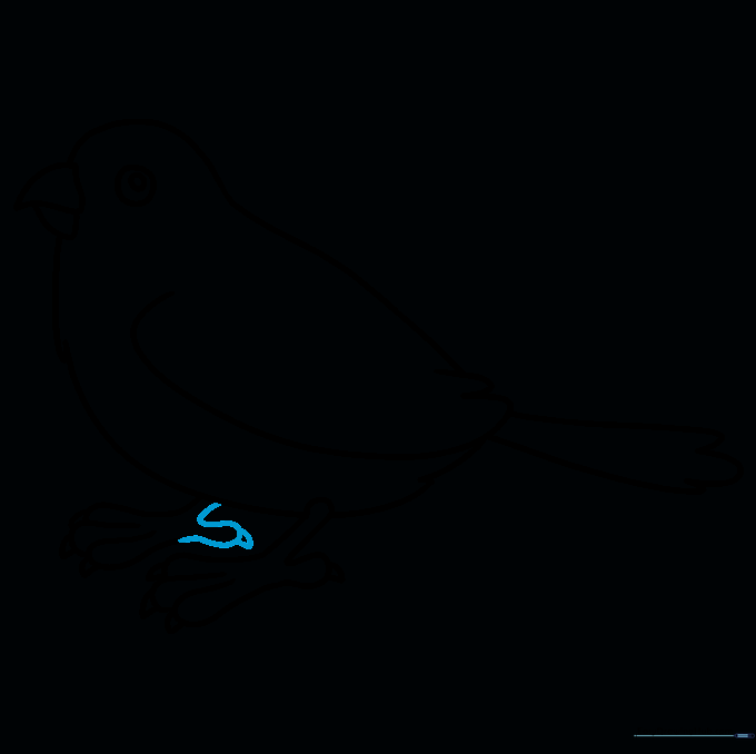 Cleaned-up outline of the sparrow drawing with guidelines erased.