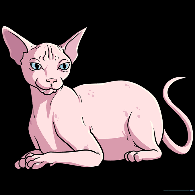 A fully colored, finished drawing of a Sphynx cat with pink skin and bright blue eyes.
