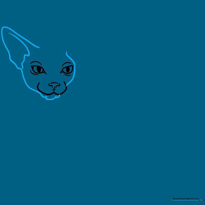 Drawing the left side of the cat's face and one large, pointed ear using smooth, continuous curved lines.