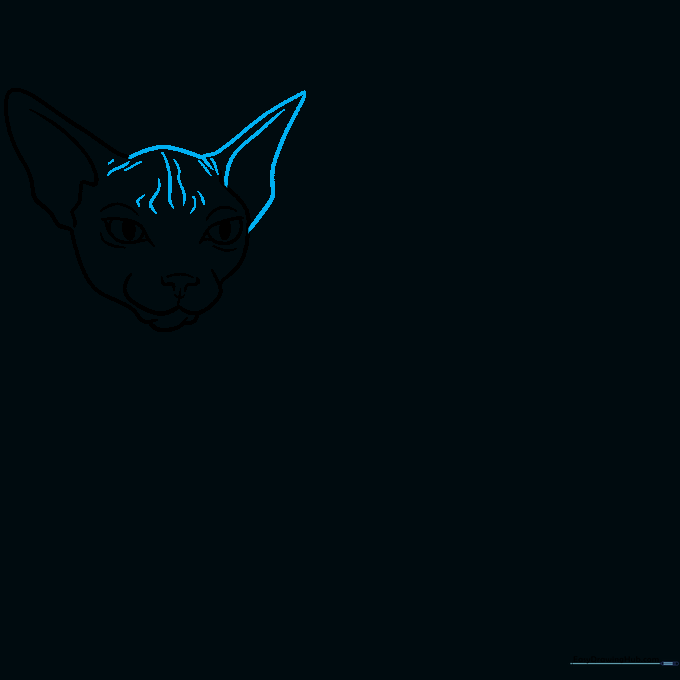 The completed head outline of the Sphynx cat, highlighting the large ears and subtle skin wrinkles.