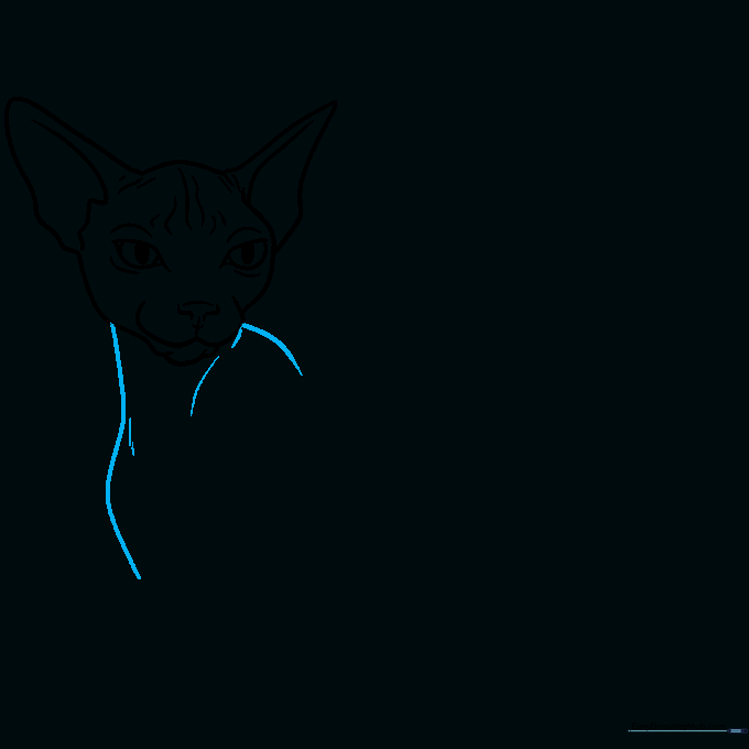 Adding the neck and shoulder contours to the existing cat head sketch.