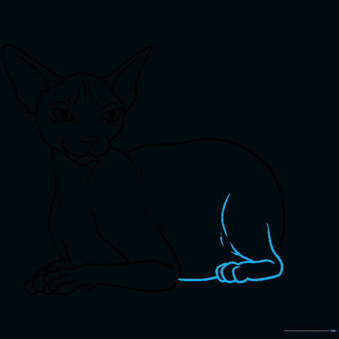 Drawing the long, graceful curve of the cat's back leading down to the hip area.
