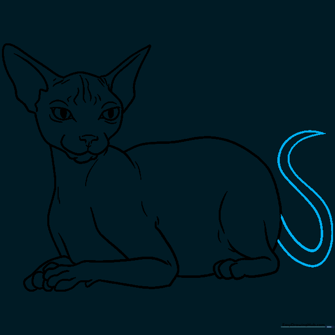 Adding the final touch: a long, slender tail tapering to a point.