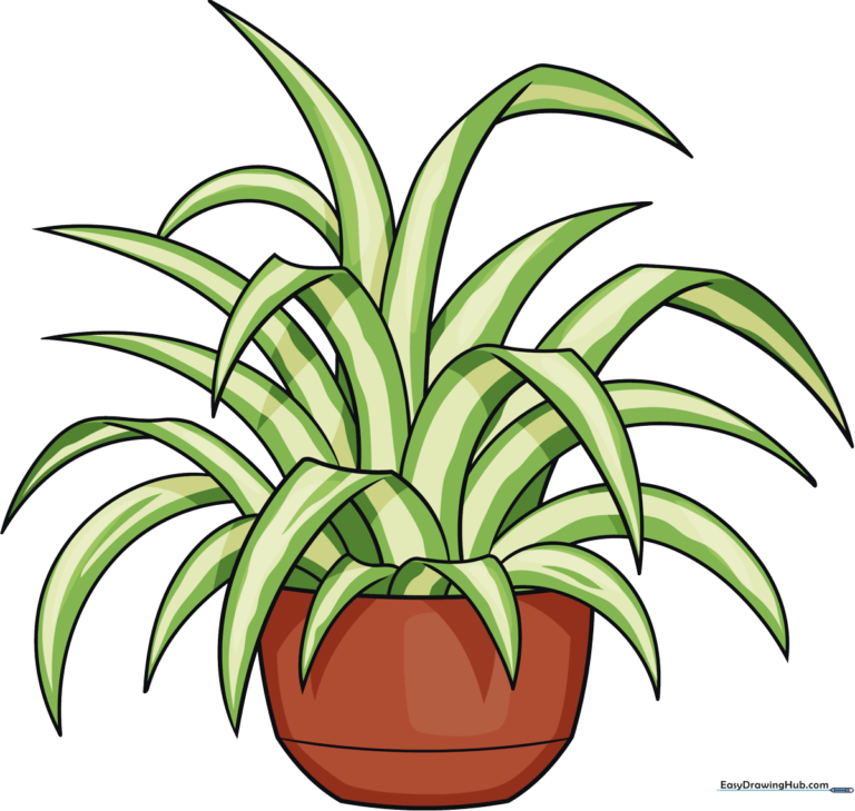 A vibrant, finished illustration of a potted spider plant, showcasing the final result of the tutorial.