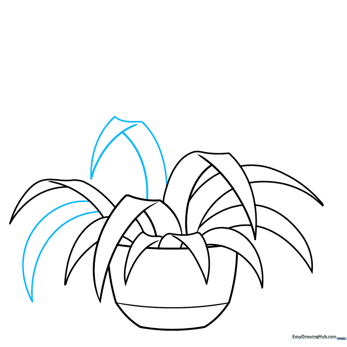More leaves added to fill out the shape of the spider plant.