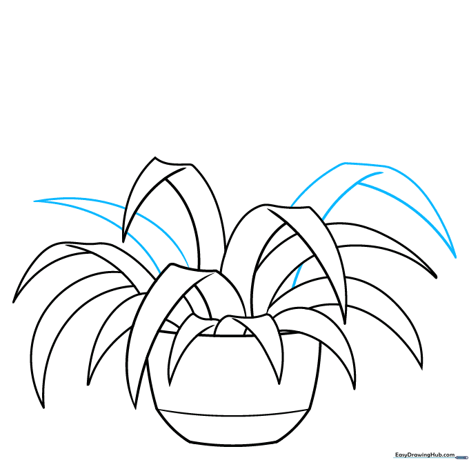 Side leaves added to provide volume and balance to the drawing.