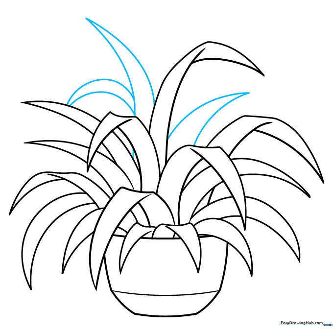 The completed line art of the spider plant ready for coloring.