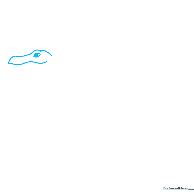 Pencil sketch showing the initial outline of a Spinosaurus head, eye, and snout.