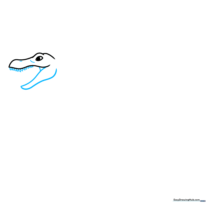 Drawing the open mouth of a Spinosaurus with sharp triangular teeth.