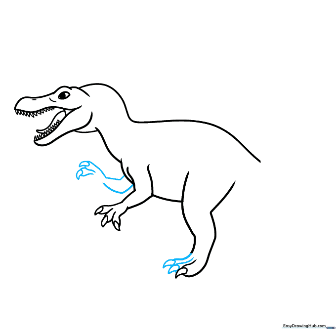 Drawing the rear foot and the second arm of the Spinosaurus.