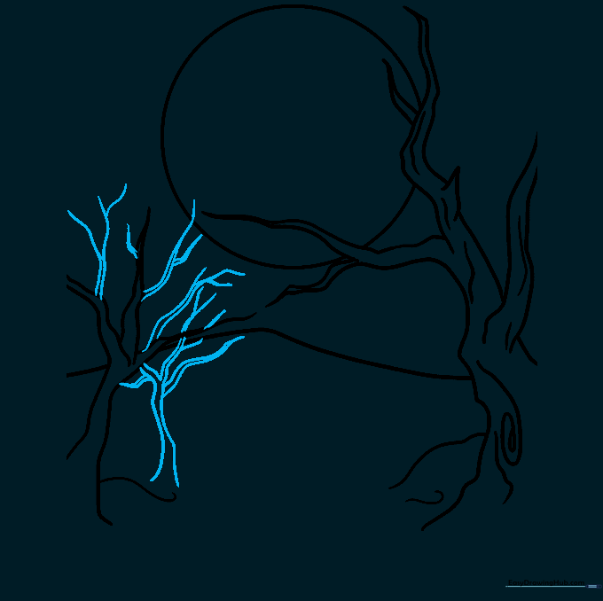 Two gnarled trees standing side by side in a forest scene.