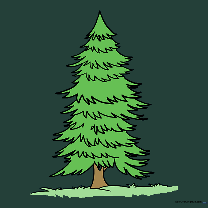 The finished spruce tree colored in shades of green and brown.