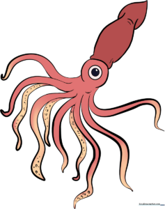 A colorful, friendly cartoon squid swimming in the ocean, featured as a drawing tutorial example.