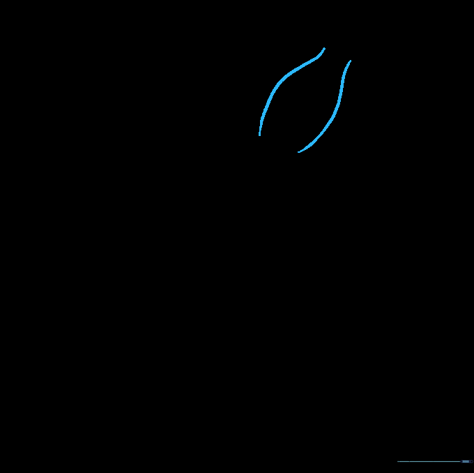 Two parallel curved lines forming the base of a squid's mantle on a white background.