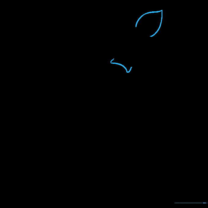 The completed teardrop-shaped mantle of the squid with a rounded bottom.