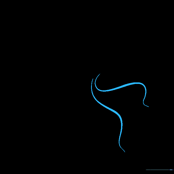 Two long, flowing lines extending downward to begin the squid's tentacles.
