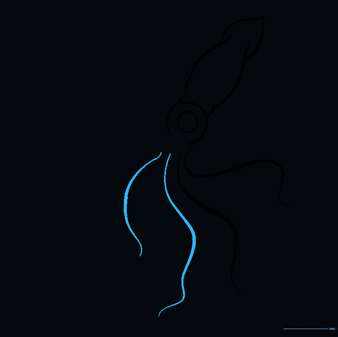 Multiple overlapping curved lines forming the base of several squid tentacles.