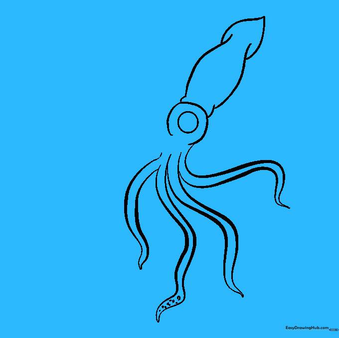 A fuller cluster of tentacles with additional suction cup details.