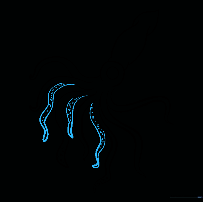 Squid tentacles detailed with small dots and circles for skin texture.